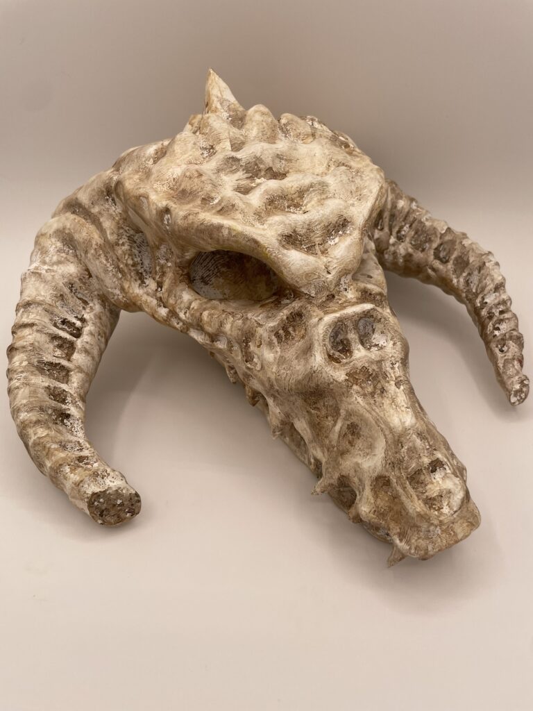 Weathered dragon skull